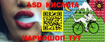 прущие крисы Донской