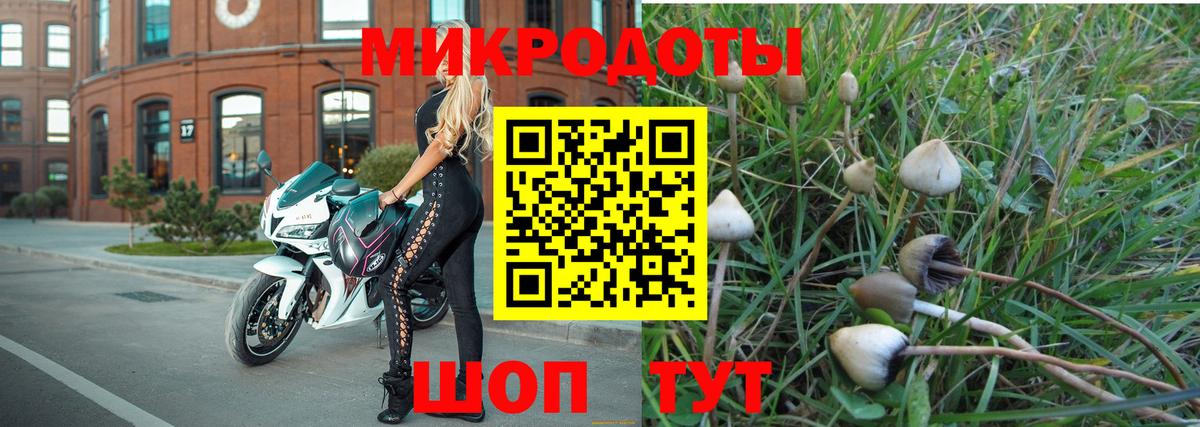 Галлюциногенные грибы Cubensis Лабинск